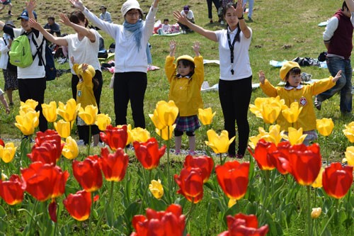春の祭典 チューリップフェア 釧路新聞電子版