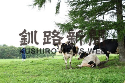 有機飼料認証された８７㌶の草地に放牧される乳牛たち