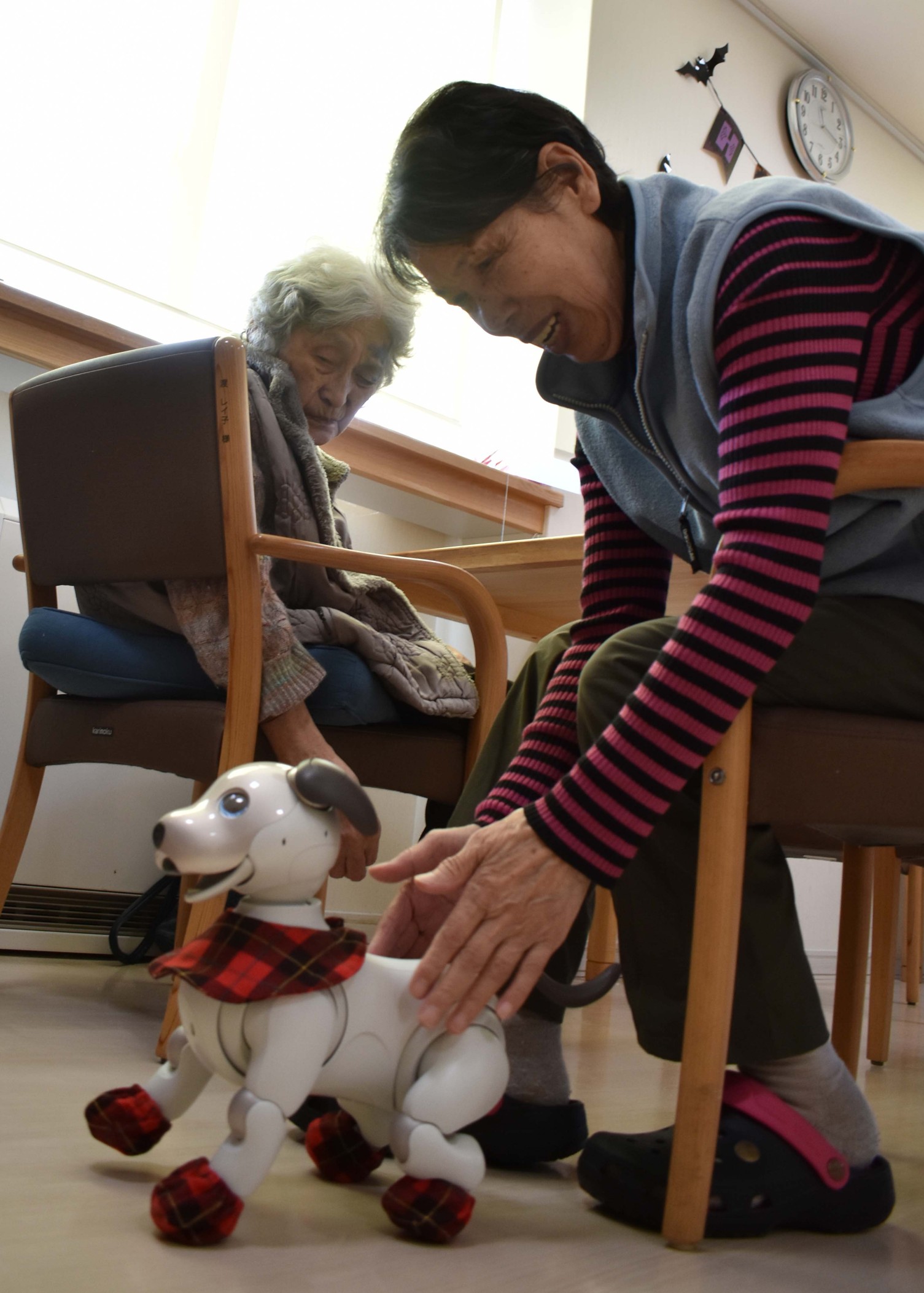 弟子屈の老人ホームで活躍【弟子屈】(2023-10-27)　犬型ロボット　高齢者に癒やし　–　釧路新聞電子版