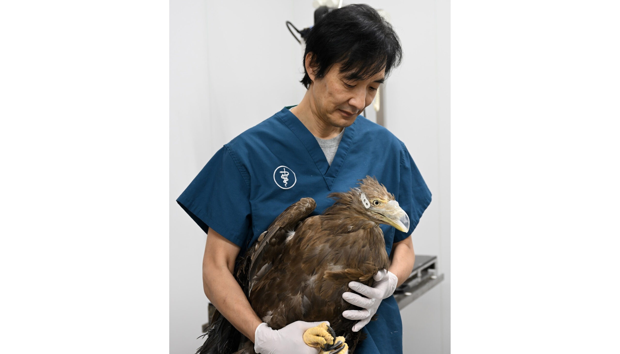 メガソーラー問題背景に湿原の重要性考える 10月22日消費者大会