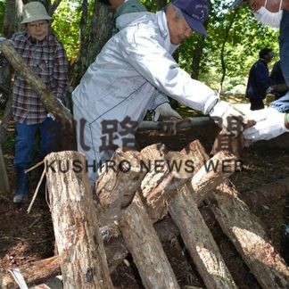 シイタケ栽培 炭作り体験 厚岸町(2019-10-01)