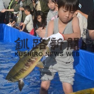 新鮮、海の幸堪能　昆布森みなとまつり(2019-10-28)