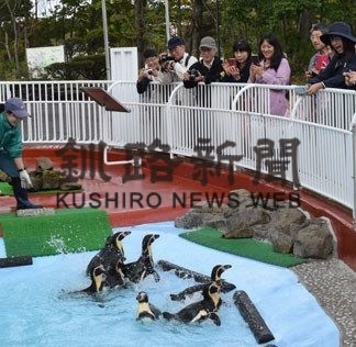 ペンギン伸び伸び　動物園施設を一新　(2019-10-08)