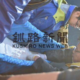 チョウザメ人工授精失敗(2019-10-18)