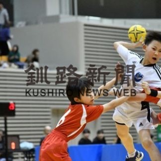 メーヴェン釧路（男子）準V(2019-11-12)