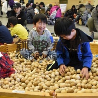 木のプールに笑顔　きょうまで木づなフェス(2019-11-10)