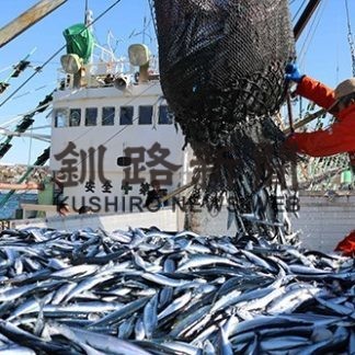 道東沖サンマ漁(2019-11-03)