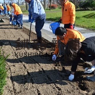 ぬさまいライオンズ(2019-11-03)