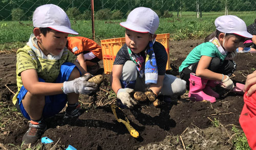 大きく育ったよ! 児童らジャガイモ収穫(2019-09-24)