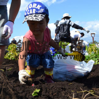 多くの親子連れが参加　伯爵まつり(2019-09-08)