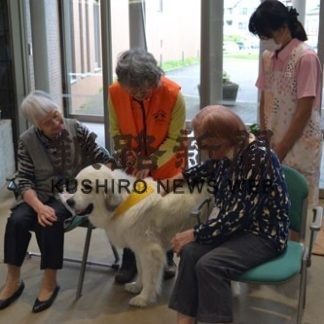 セラピードッグに笑顔(2019-09-21)