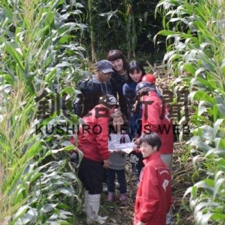 デントコーン畑で巨大迷路を楽しむ　(2019-09-23)