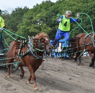 迫力のばん馬に声援(2019-09-27)