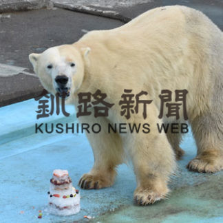 来園者らホッキョクグマの誕生日祝う(2019-12-02)