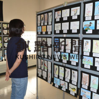 根室の野鳥など　小中生力作４２２点　コンテスト作品展(2019-09-08)