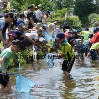 やまべたくさん取れた　河童まつり(2019-08-02)