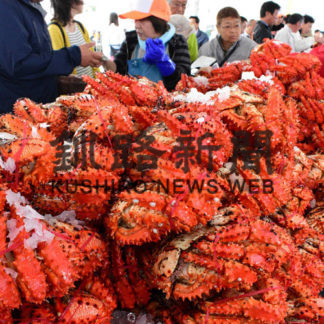 真っ赤な花咲ガニに列(2019-09-01)