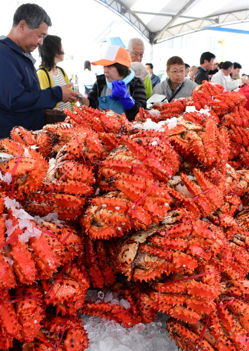 真っ赤な花咲ガニに列(2019-09-01)