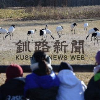 タンチョウ生息一斉調査(2019-12-06)