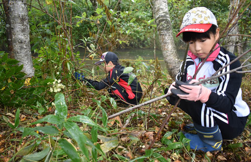 タンチョウの保護活動に理解を(2019-09-14)