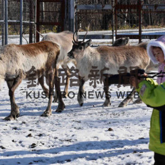 釧路市動物園でクリスマスＺｏｏ楽しむ(2019-12-16)