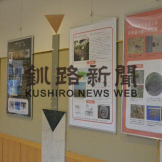 トガリネズミの講演会(2019-12-13)