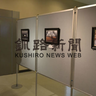 自然風景など切り取る(2019-12-07)