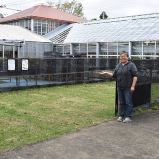 屋内外にドッグラン完成　シノハラ園芸(2019-10-22)