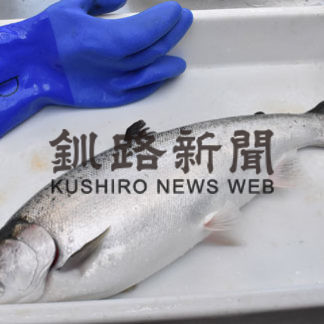 ベニザケ実証試験終了(2019-12-07)_1