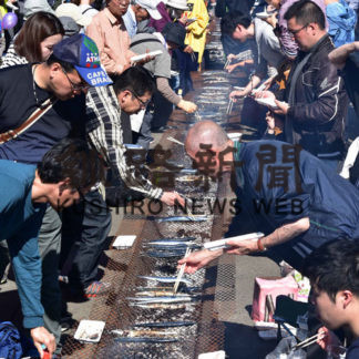 根室さんま祭り開幕　(2019-09-22)