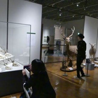 エゾシカの影響、対策紹介(2019-10-22)