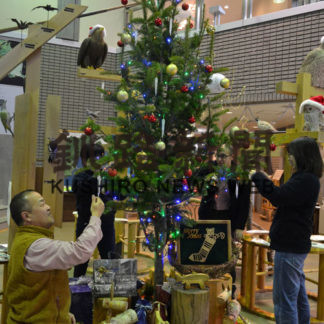 モミの香り、電飾楽しんで(2019-12-06)