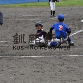 太陽グループ杯決勝　鳥西メジャーズ優勝(2019-08-26)_1