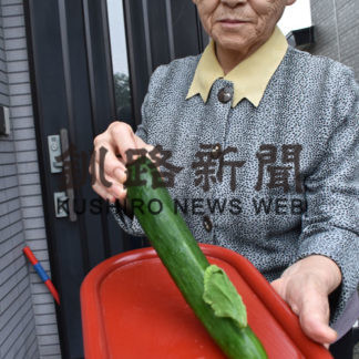 池田さん　キュウリ実から葉っぱ(2019-08-27)