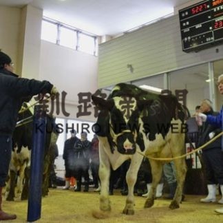 乳・肉用牛初競り(2020-01-09)