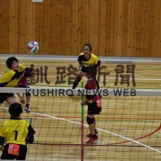 小学生　バレー会長杯(2019-08-06)