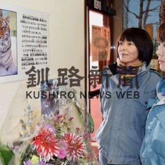 タイガとココアの父、アムールトラのリング死ぬ(2020-01-16)