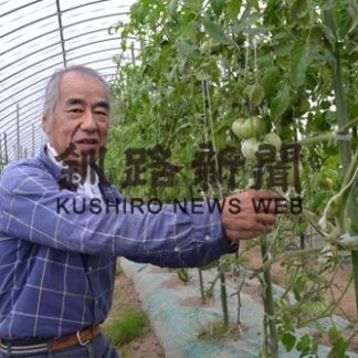 無農薬無肥料で野菜を栽培　シタカラ農園(2019-08-28)