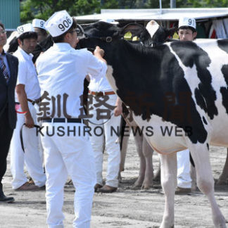 乳牛共進会　自慢の牛、披露(2019-08-14)