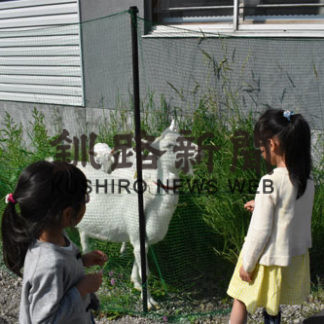 雑草駆除　ヤギにおまかせ(2019-07-08)