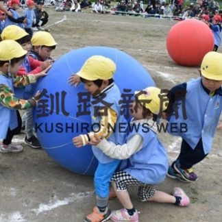 珍プレーに笑顔　十條ひまわり幼稚園(2019-07-03)
