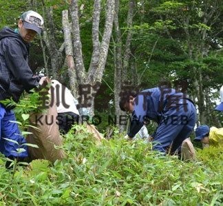 オオハンゴンソウ防除作業に汗(2019-08-03)