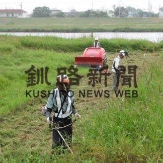釧新花火大会前に　新釧路川で草刈り　弟子屈の辻谷建設(2019-08-08)