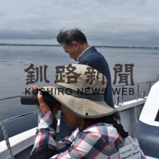 アザラシ観察や自然満喫(2019-08-08)_2