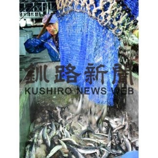 道東サンマ出足不漁(2019-08-23)