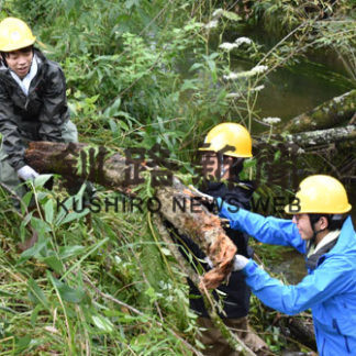 伊藤サンクチュアリで首都圏大学生がボランティア(2019-08-24)