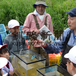 「生きもの調査」 児童から大きな歓声(2019-07-09)