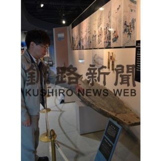 アイヌ民族の丸木舟　貸与展示(2019-08-31)