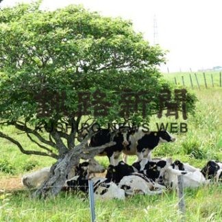 ２０１９年の根室は高温、少雨、多照(2020-01-17)