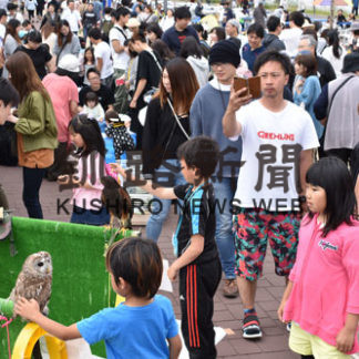 グルメ満喫　にぎわいストリート(2019-07-08)